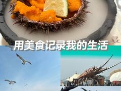 -大连老虎滩海洋公园