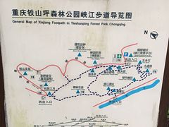 -铁山坪森林公园