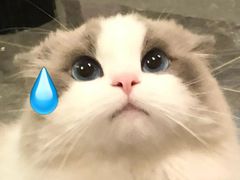 -chicken plus韩国炸鸡(城阳店)