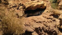 -酷嗒动物文化乐园(cutezoo西溪乐天城店)