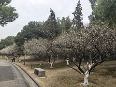 -时间仓(月湖公园店)