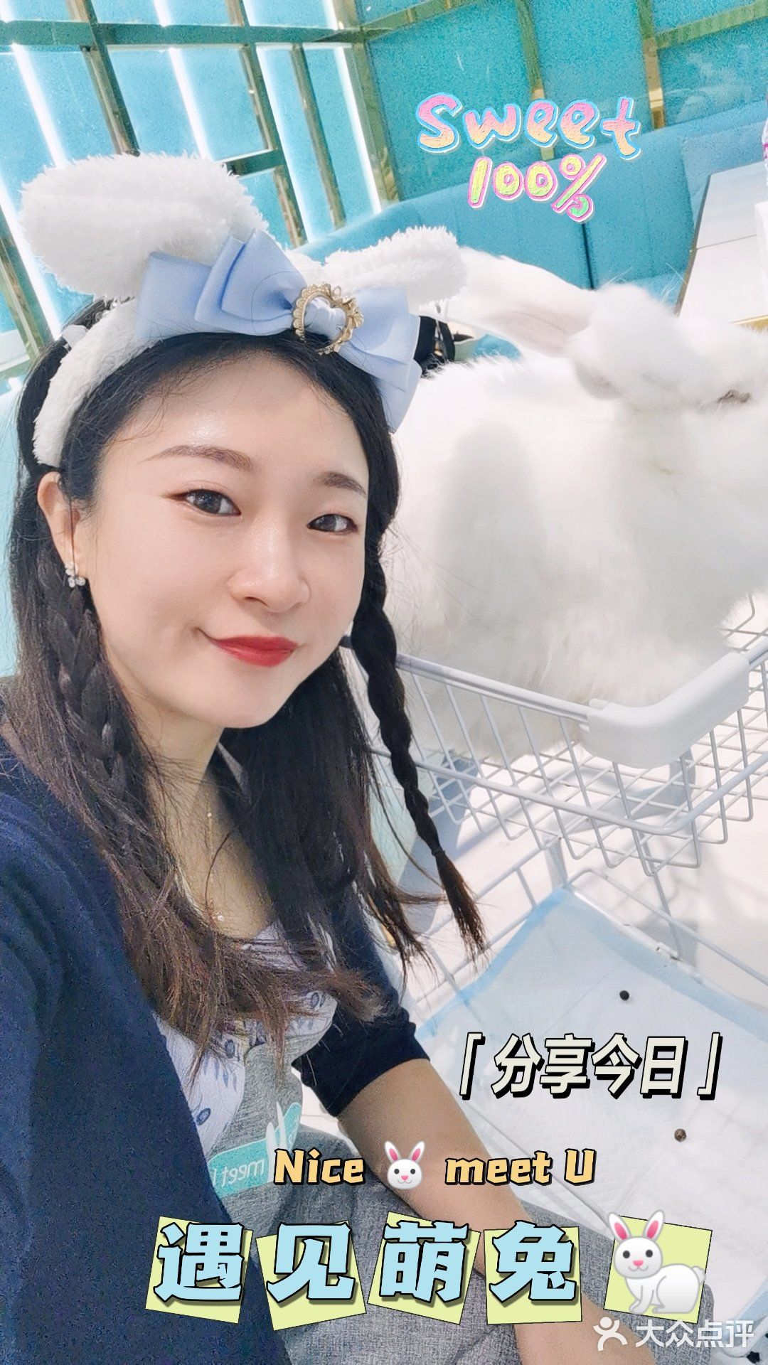 Nice 🐰meet U-魔都遇见萌兔