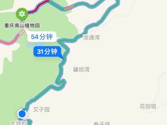 -南山植物园