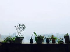 -重庆平顶山公园