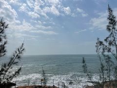 -广东惠东海龟国家级自然保护区