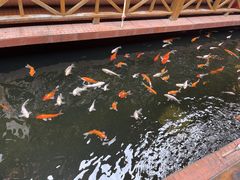 -侠成水上农庄(工业大道店)