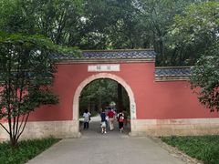 -灵谷景区