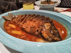 -阿五黄河大鲤鱼(海尚店)