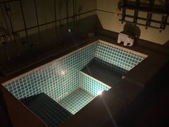 -春晖园度假酒店温泉