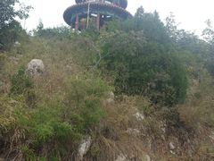 -府君山公园