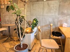 -青莯_Percher Coffee Shop(皮市街店)