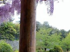 -名古屋城