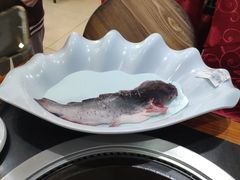 -老刘生态大鱼坊铁锅炖鱼(赛马场店)