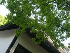 -上海佘山国家森林公园天马山园