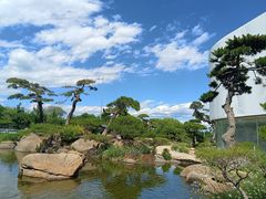 -罗红摄影艺术馆