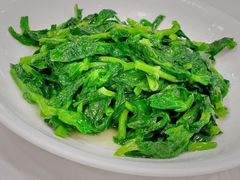 白酒有机豆苗-瑞福园联谊餐室(茂名南路店)