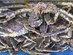 -海峡水产品交易中心(海鲜交易区)