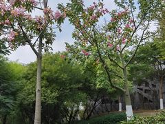 -五通灯塔公园