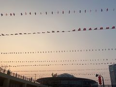 -宁波儿童公园(鄞州区)