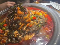 -探鱼·鲜青椒爽麻烤鱼(中山大信新都汇店)