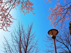 -辽宁大学(崇山校区)