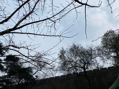 -南京城墙景区