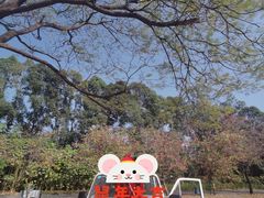 -南沙蒲洲花园