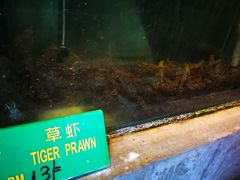 -悦海楼(三衢路店)