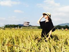 -光明小镇欢乐田园