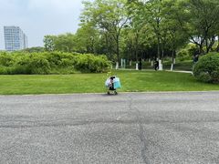 -九里河湿地公园