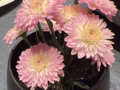 -喜湘宴·精致湖南菜(和平西桥店)