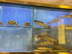 水产区-顺峰顺水顺德菜(龙华店)