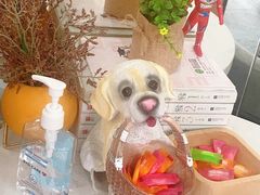 -罗伯特眼镜·蔡司官方授权(罗湖国贸店)