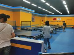 -乐旋乒乓球(郑州一站广场店)