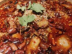 -天山醉美辣子鸡(文艺路店)