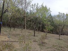 -白水寺森林公园