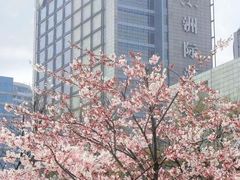 -青岛海尔洲际酒店