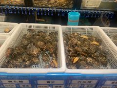 -东海怡品海鲜豆捞(舟宿夜江店)