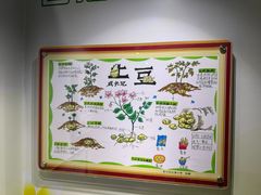 -上海昆虫博物馆