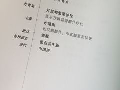 -新加坡航空公司(ION)