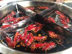 老火锅-大龙火锅(老店)