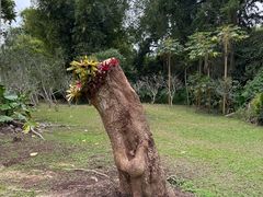 -中国科学院西双版纳热带植物园