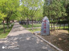 -大槐树寻根祭祖园