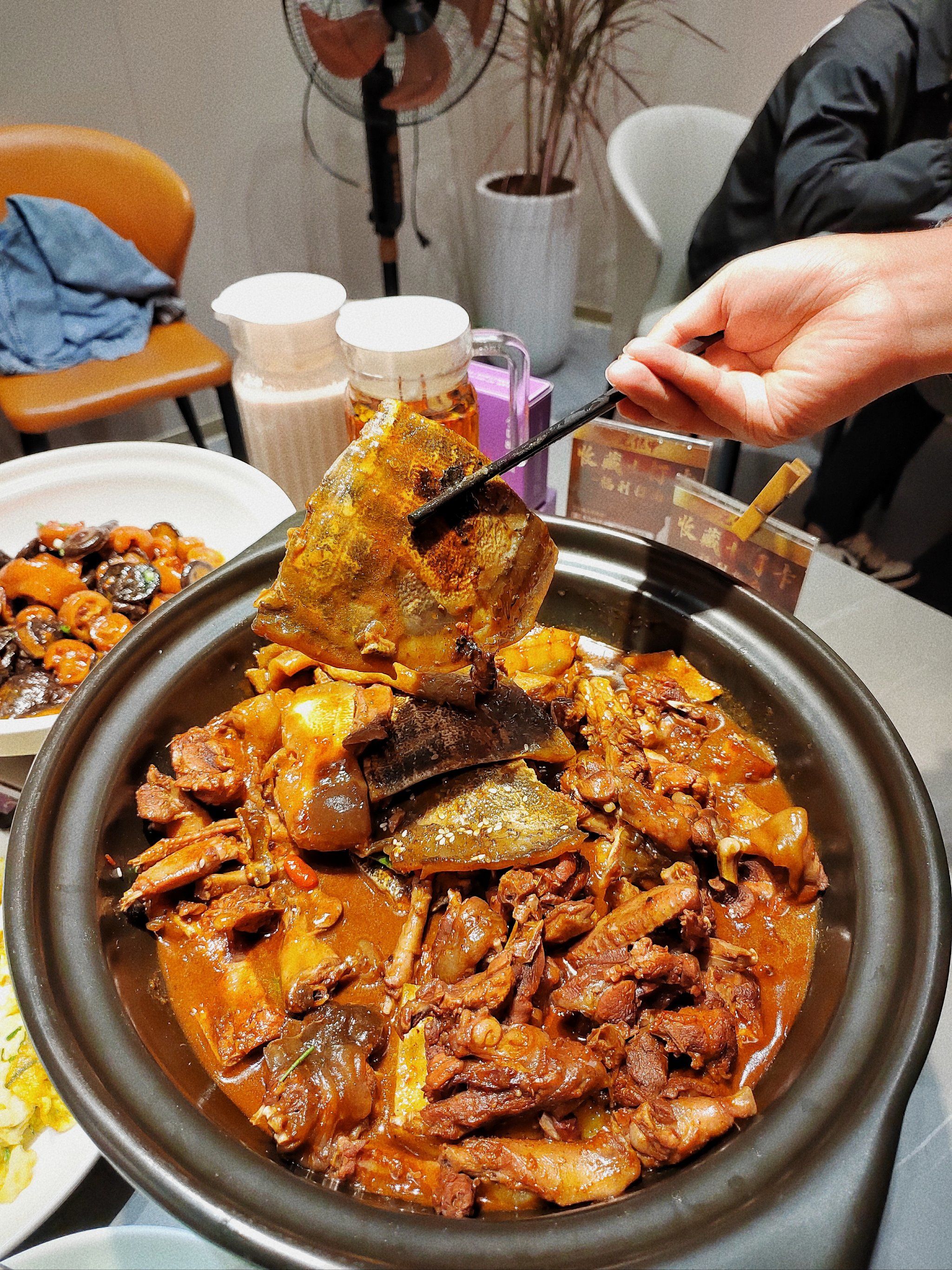 裙边厚实软糯,大块的甲鱼肉与鸽子一起红烧,味