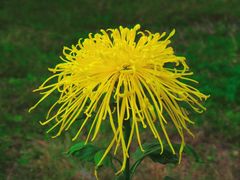 -北京植物园-展览温室