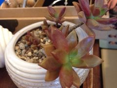 iphone_upload_pic-良友书坊(安徽路店)