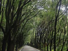 -同里国家湿地公园