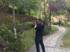-火炉山森林公园