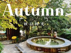 -张家港金凤凰度假村温泉