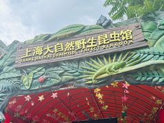 -上海大自然野生昆虫馆(东方明珠·爬宠昆虫探索中心)